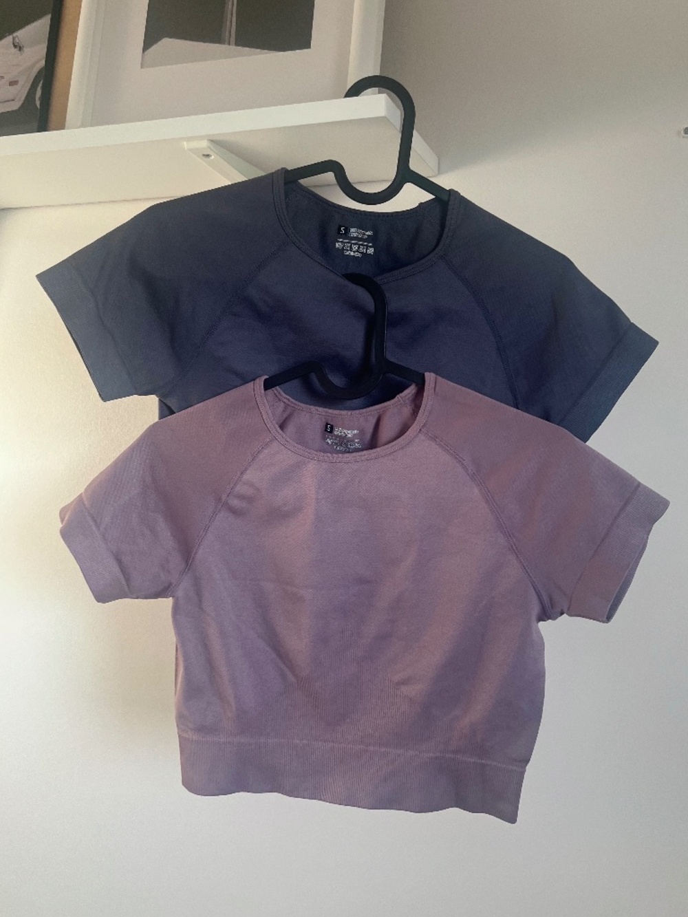 2 basic seamless activewear crop tees